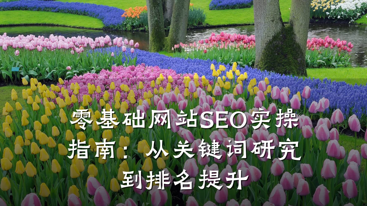 零基础网站SEO实操指南:从关键词研究到排名提升