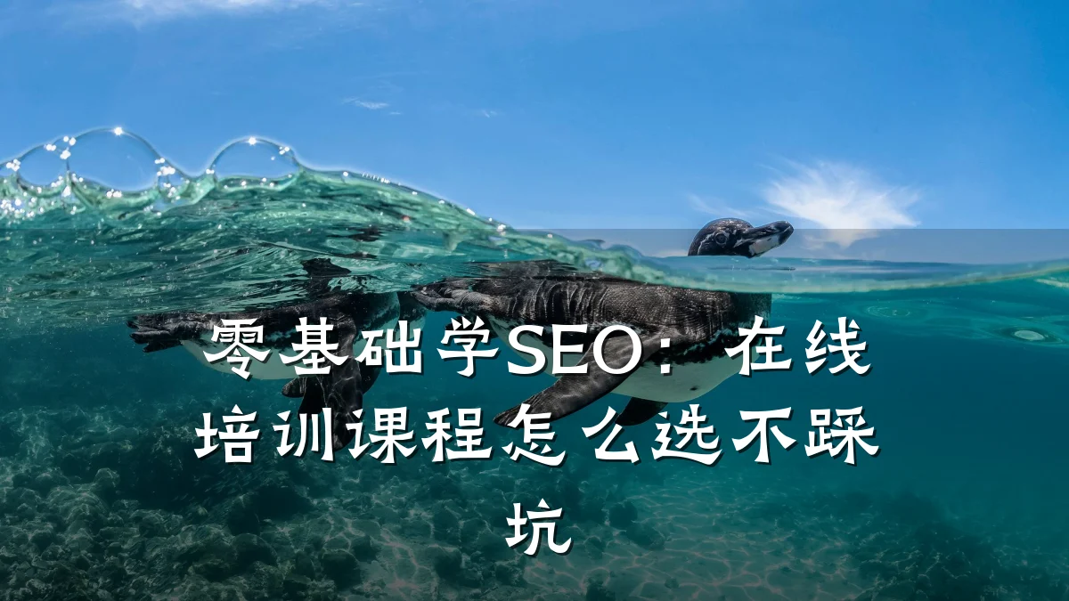 零基础学SEO:在线培训课程怎么选不踩坑