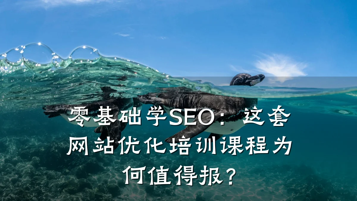 零基础学SEO:这套网站优化培训课程为何值得报?