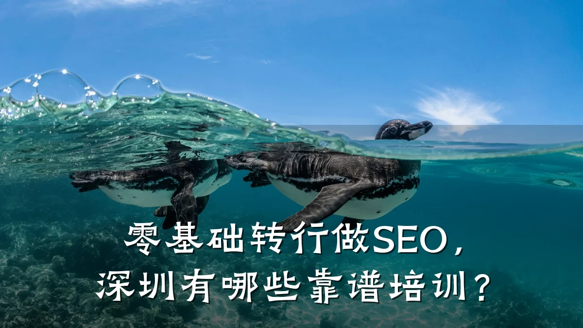 零基础转行做SEO,深圳有哪些靠谱培训?