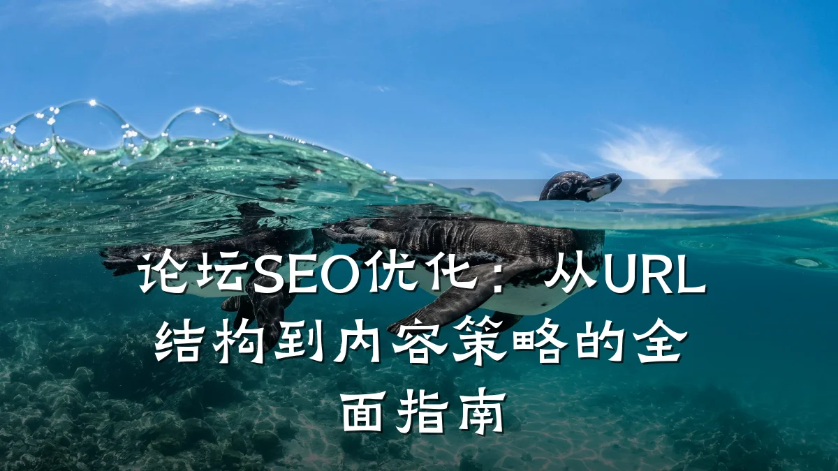 论坛SEO优化：从URL结构到内容策略的全面指南