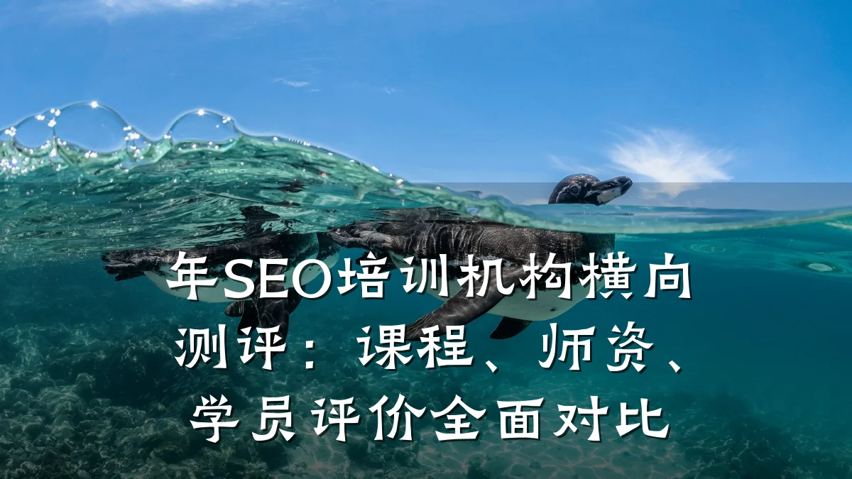 年SEO培训机构横向测评:课程、师资、学员评价全面对比