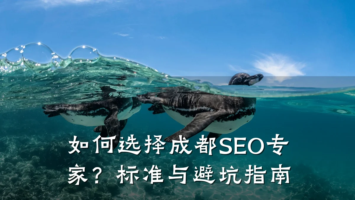 如何选择成都SEO专家?标准与避坑指南