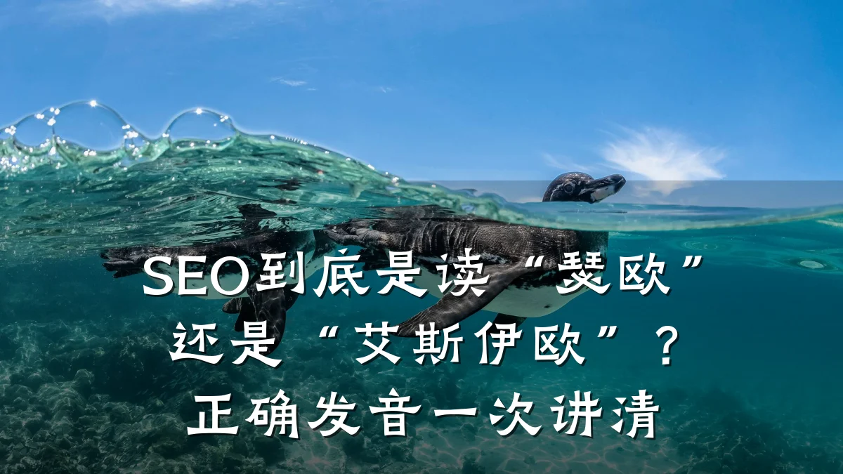 SEO到底是读“瑟欧”还是“艾斯伊欧”?正确发音一次讲清