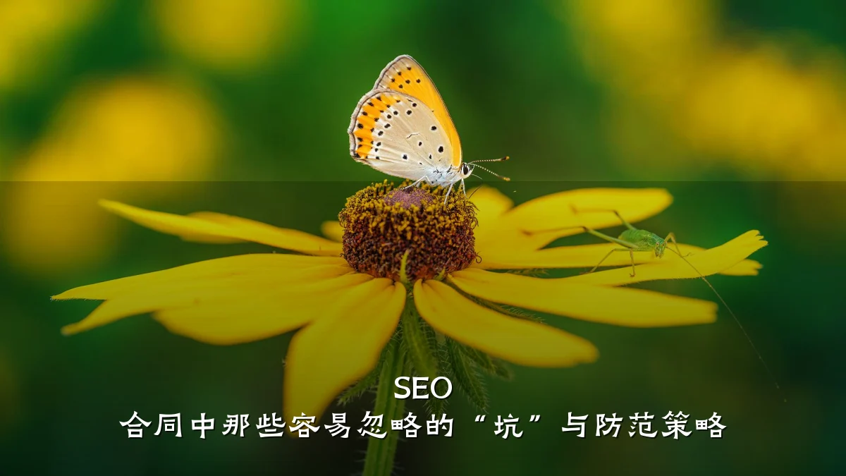 SEO 合同中那些容易忽略的“坑”与防范策略