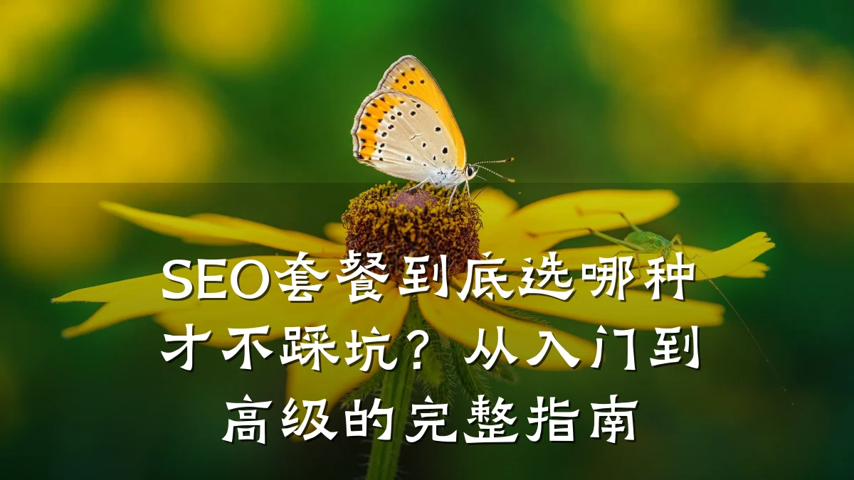 SEO套餐到底选哪种才不踩坑?从入门到高级的完整指南
