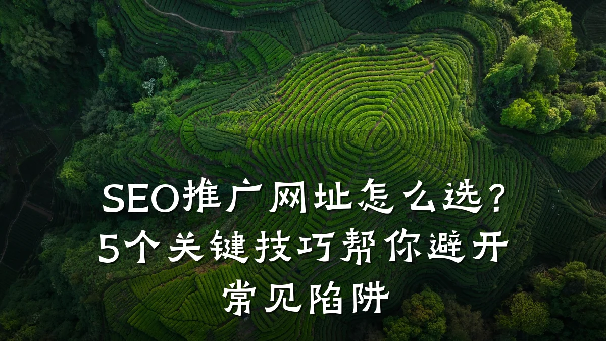 SEO推广网址怎么选？5个关键技巧帮你避开常见陷阱