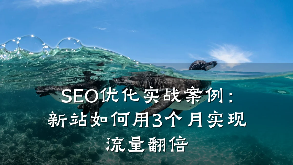 SEO优化实战案例:新站如何用3个月实现流量翻倍