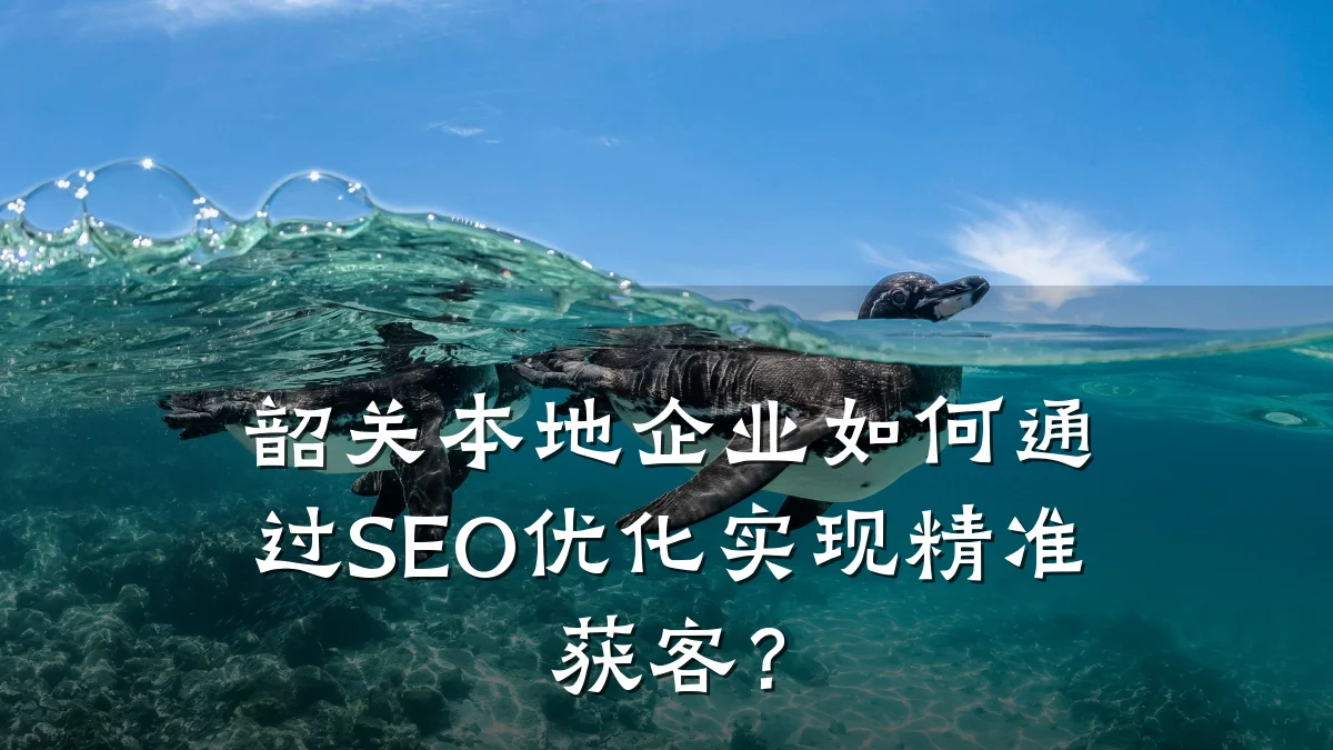 韶关本地企业如何通过SEO优化实现精准获客?