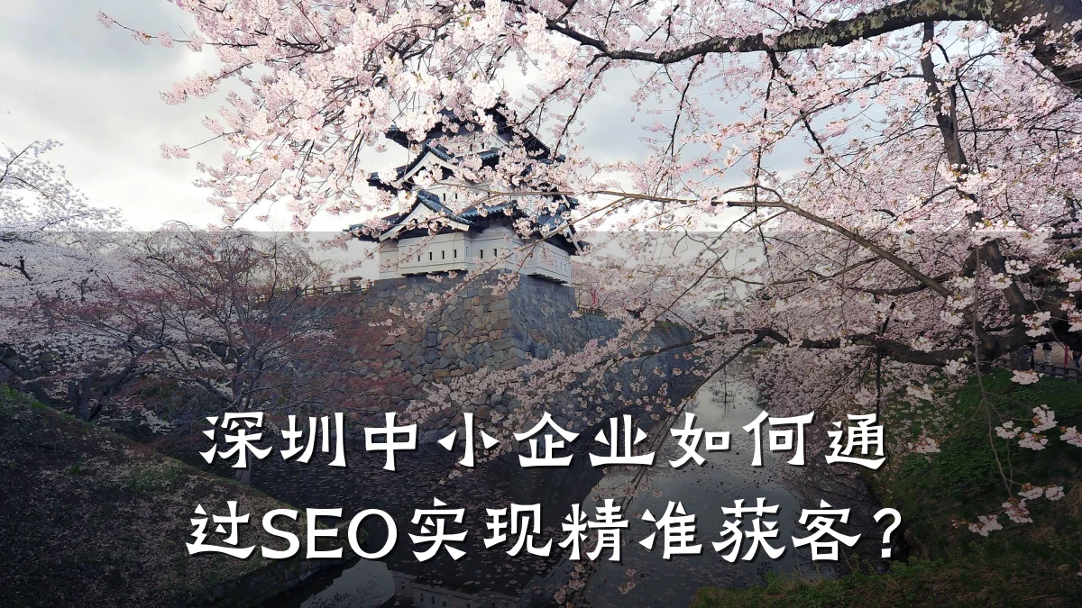 深圳中小企业如何通过SEO实现精准获客?