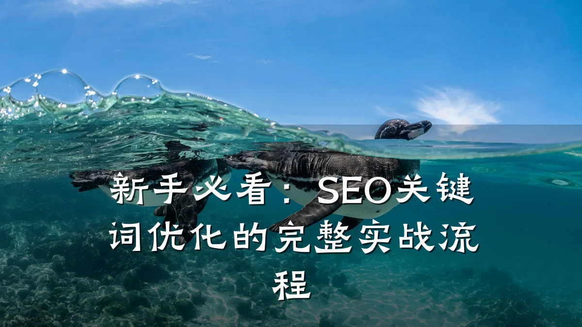 新手必看:SEO关键词优化的完整实战流程