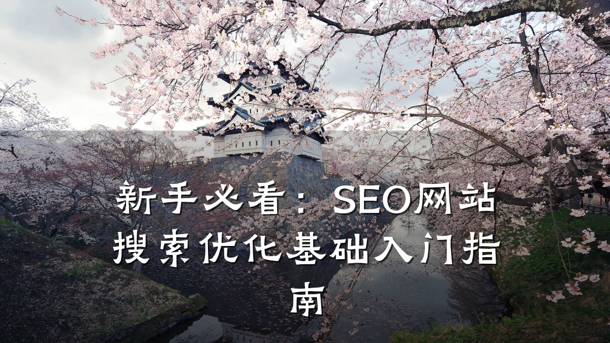 新手必看:SEO网站搜索优化基础入门指南
