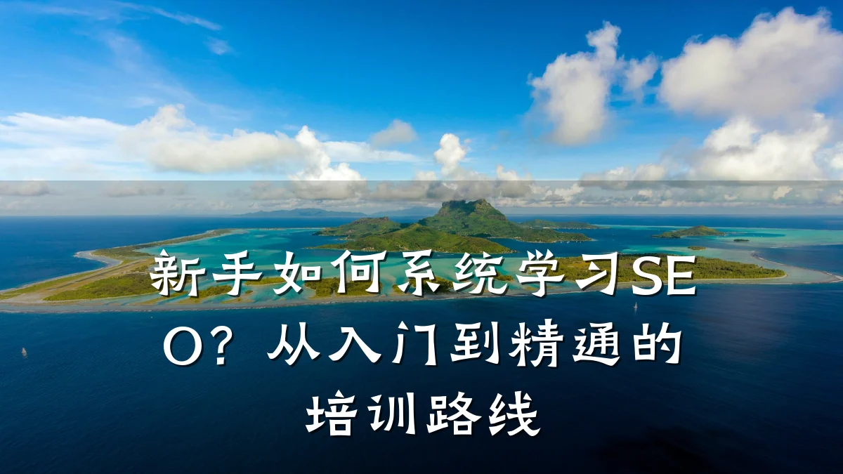 新手如何系统学习SEO?从入门到精通的培训路线