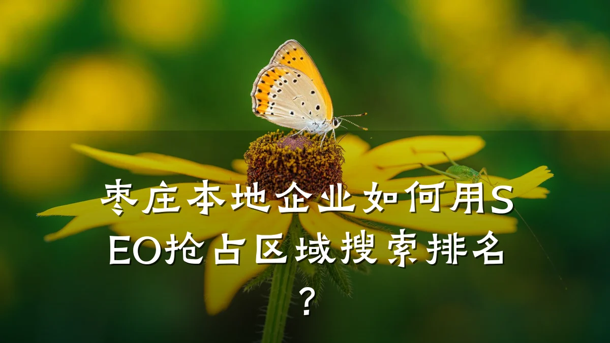 枣庄本地企业如何用SEO抢占区域搜索排名?