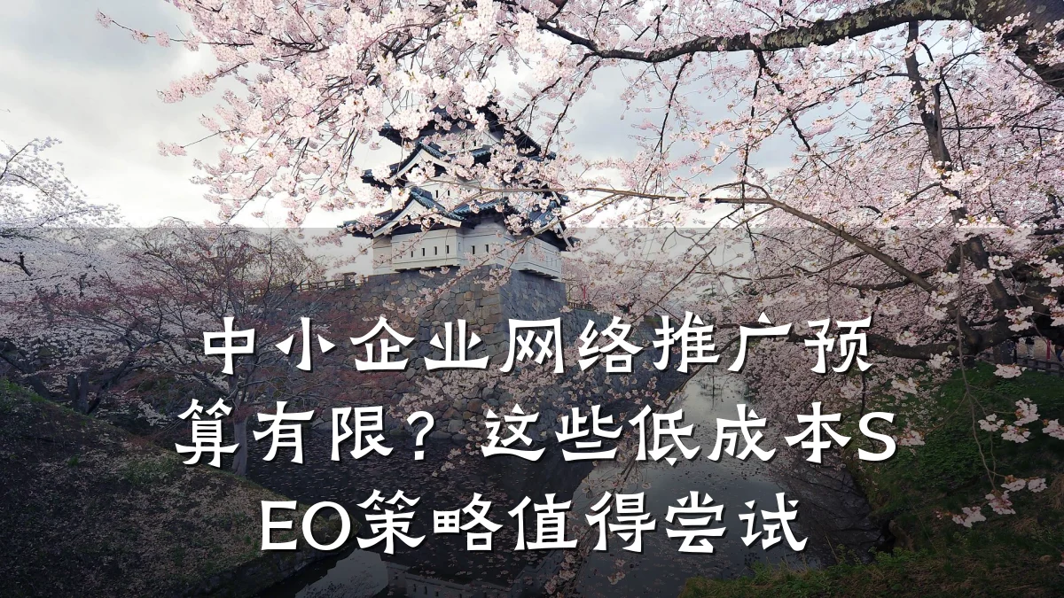 中小企业网络推广预算有限？这些低成本SEO策略值得尝试