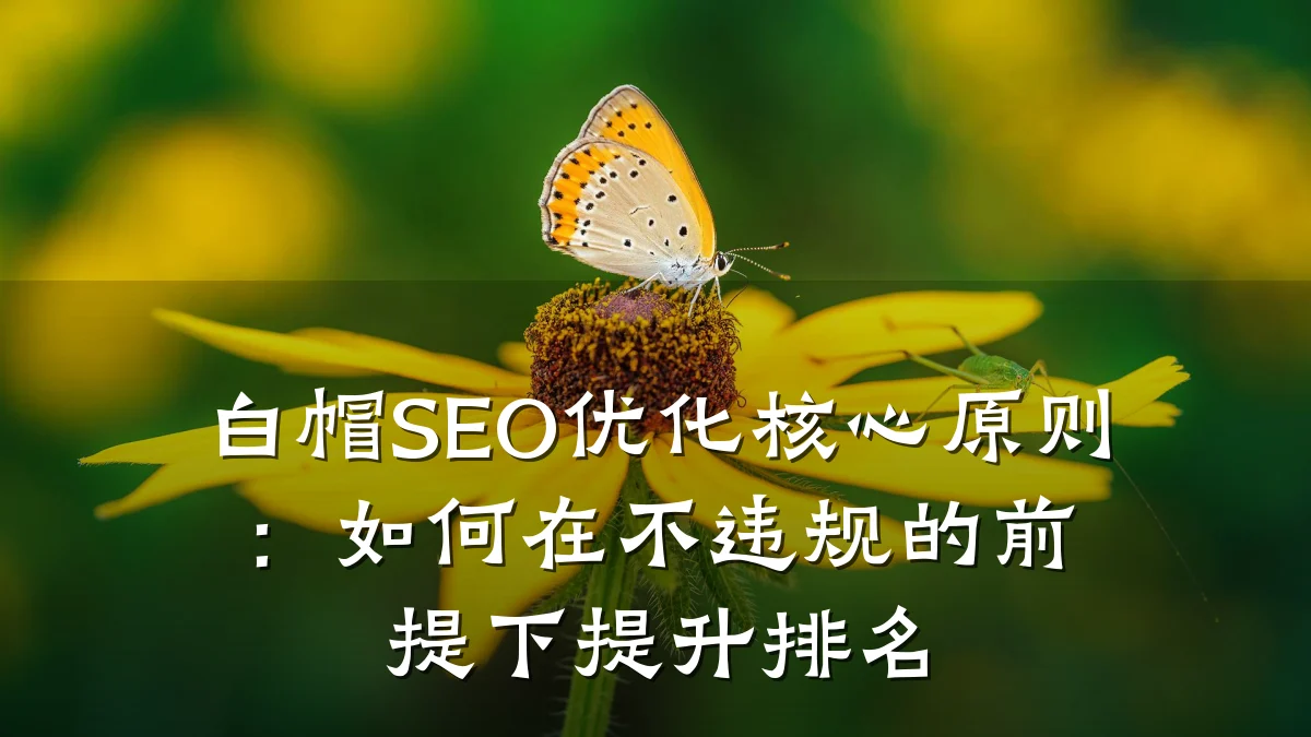 白帽SEO优化核心原则:如何在不违规的前提下提升排名