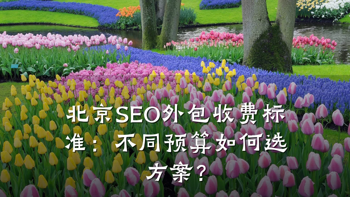 北京SEO外包收费标准:不同预算如何选方案?
