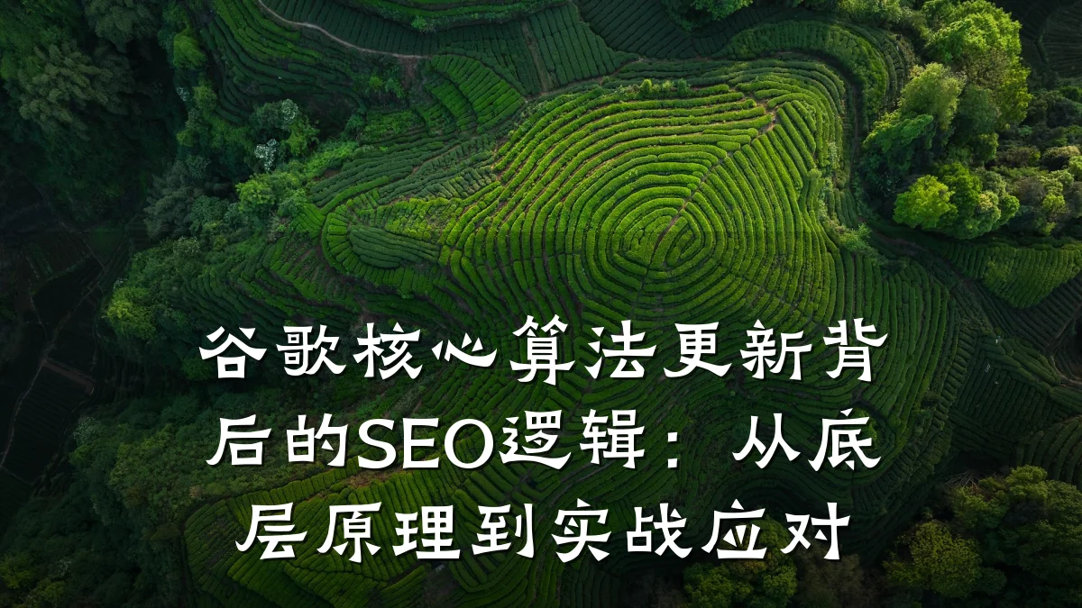 谷歌核心算法更新背后的SEO逻辑:从底层原理到实战应对