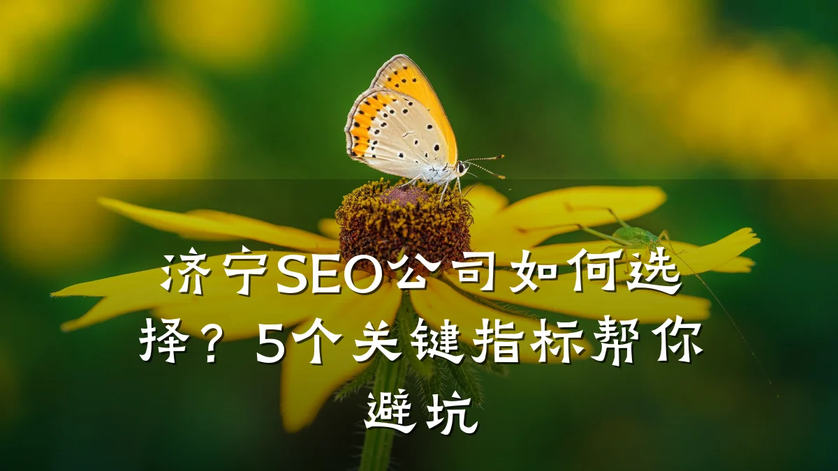 济宁SEO公司如何选择?5个关键指标帮你避坑