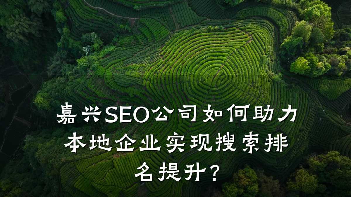 嘉兴SEO公司如何助力本地企业实现搜索排名提升?