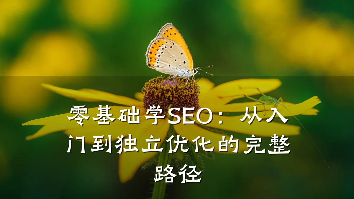 零基础学SEO:从入门到独立优化的完整路径