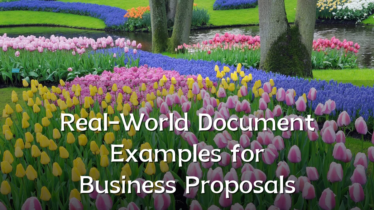Real-World Document Examples for Business Proposals