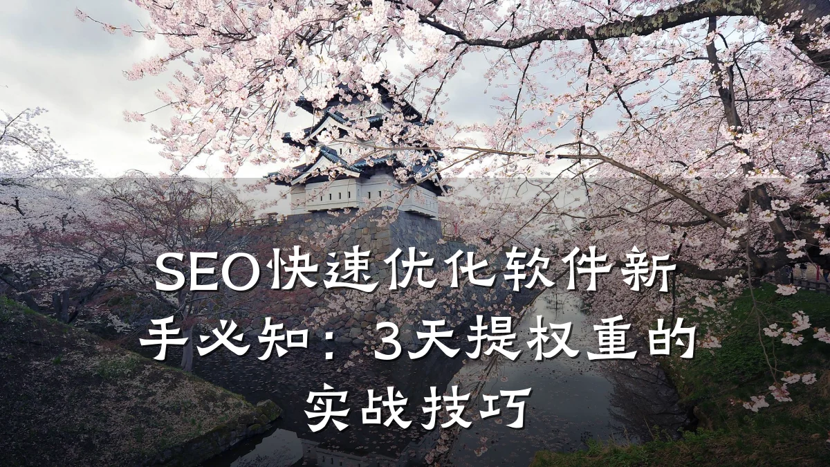 SEO快速优化软件新手必知:3天提权重的实战技巧