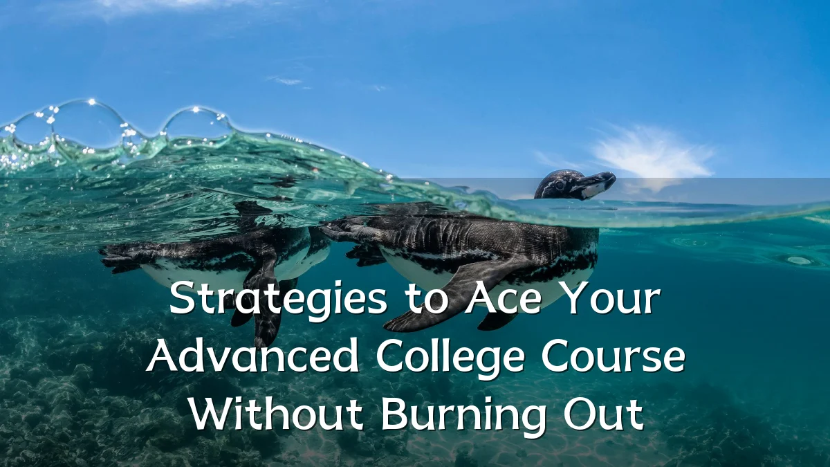 Strategies to Ace Your Advanced College Course Without Burning Out