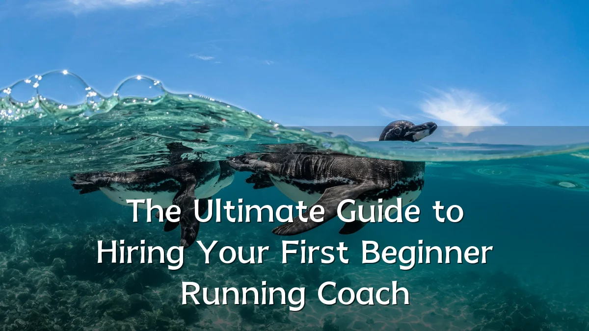 The Ultimate Guide to Hiring Your First Beginner Running Coach