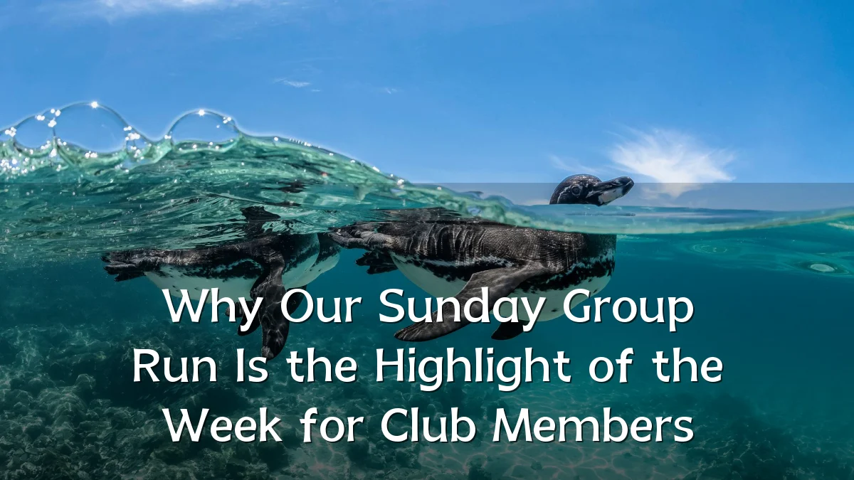 Why Our Sunday Group Run Is the Highlight of the Week for Club Members