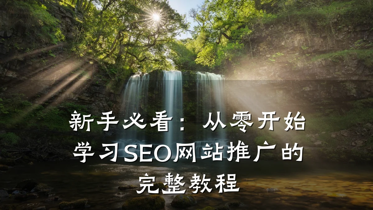 新手必看:从零开始学习SEO网站推广的完整教程