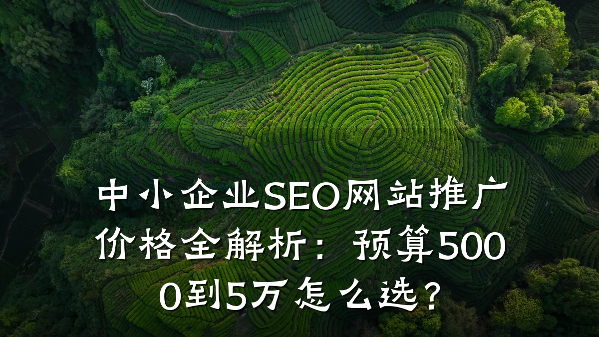 中小企业SEO网站推广价格全解析:预算5000到5万怎么选?