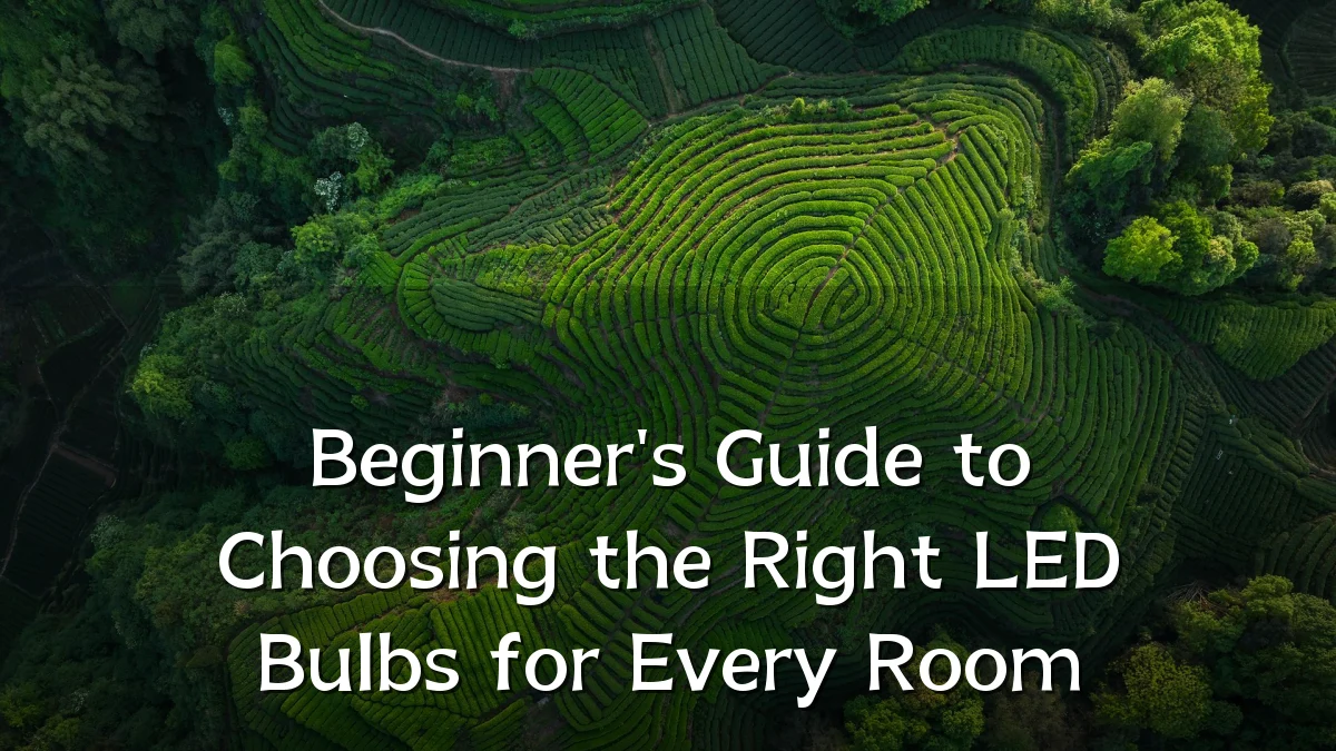 Beginner's Guide to Choosing the Right LED Bulbs for Every Room
