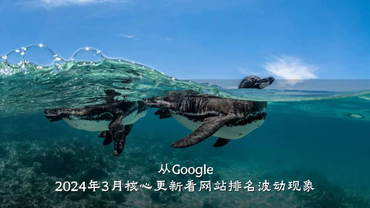从Google 2024年3月核心更新看网站排名波动现象