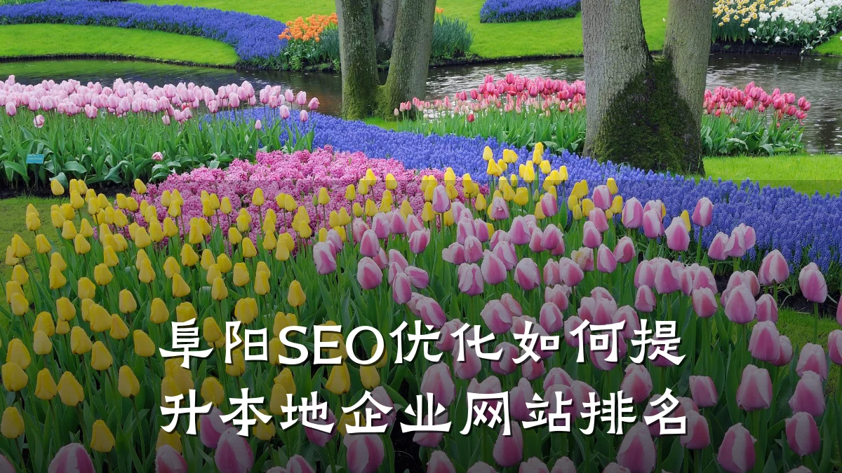 阜阳SEO优化如何提升本地企业网站排名