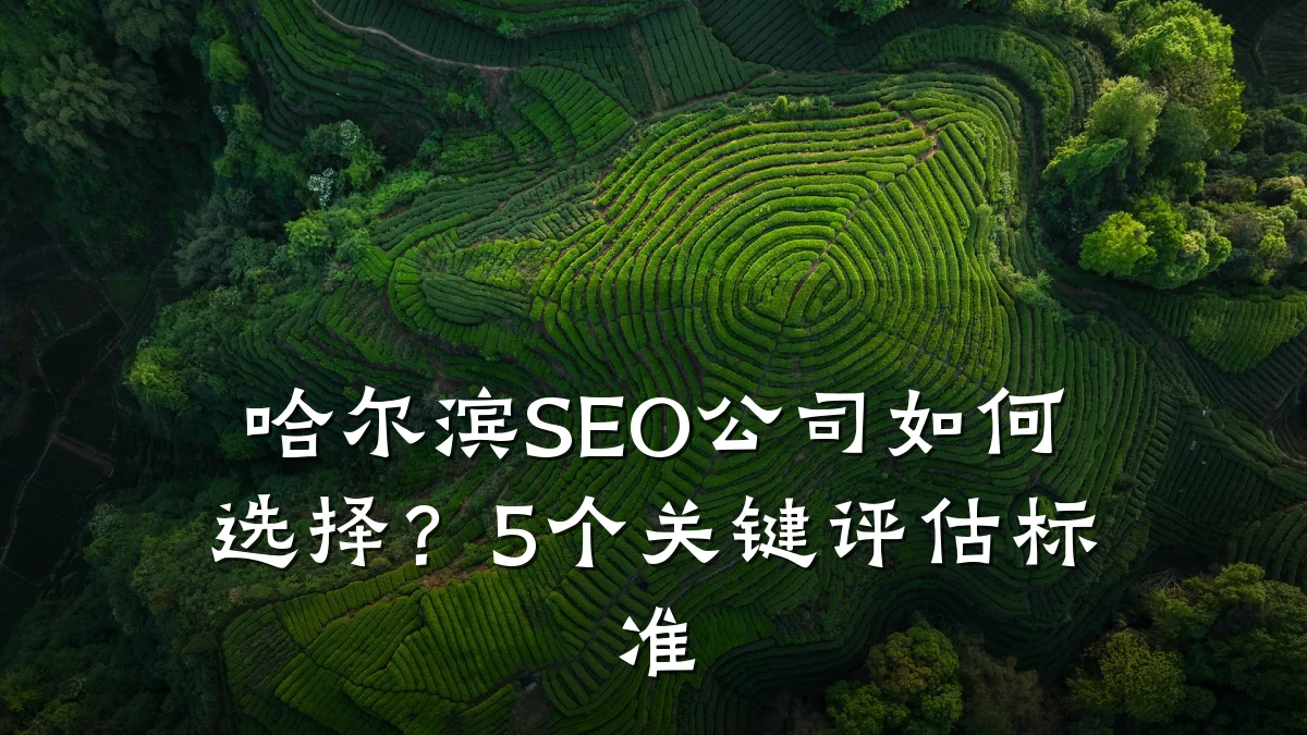 哈尔滨SEO公司如何选择?5个关键评估标准