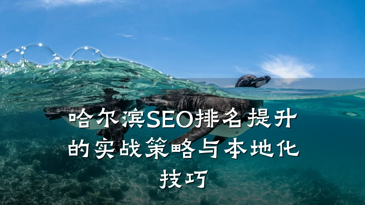 哈尔滨SEO排名提升的实战策略与本地化技巧