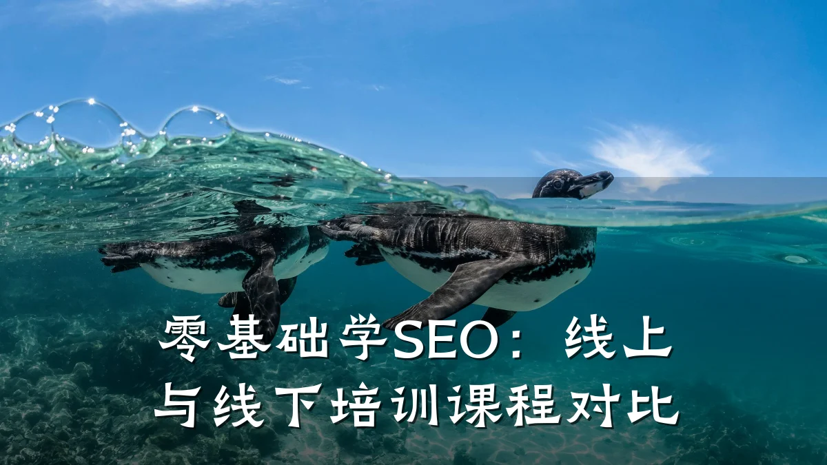 零基础学SEO：线上与线下培训课程对比