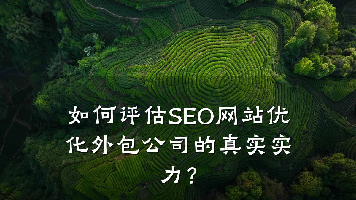 如何评估SEO网站优化外包公司的真实实力?
