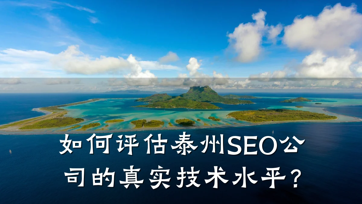如何评估泰州SEO公司的真实技术水平?