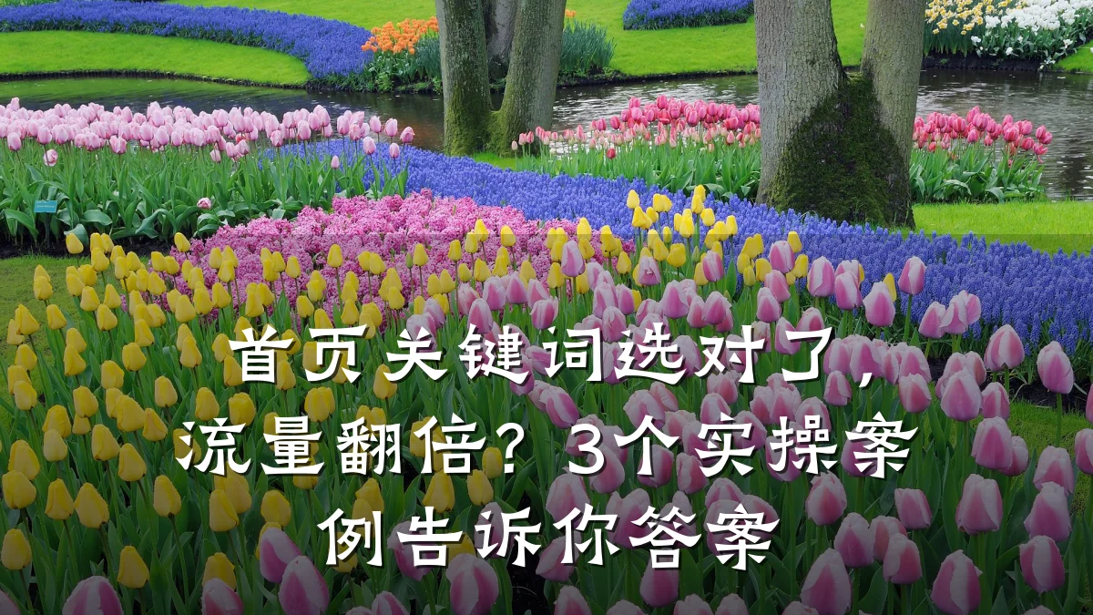 首页关键词选对了,流量翻倍?3个实操案例告诉你答案