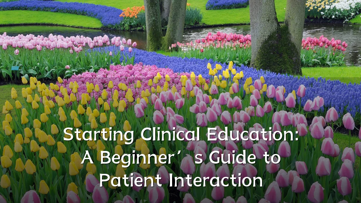 Starting Clinical Education: A Beginner’s Guide to Patient Interaction
