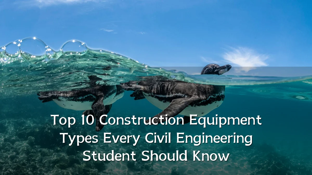 Top 10 Construction Equipment Types Every Civil Engineering Student Should Know