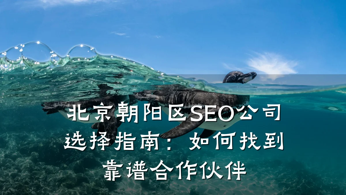 北京朝阳区SEO公司选择指南:如何找到靠谱合作伙伴