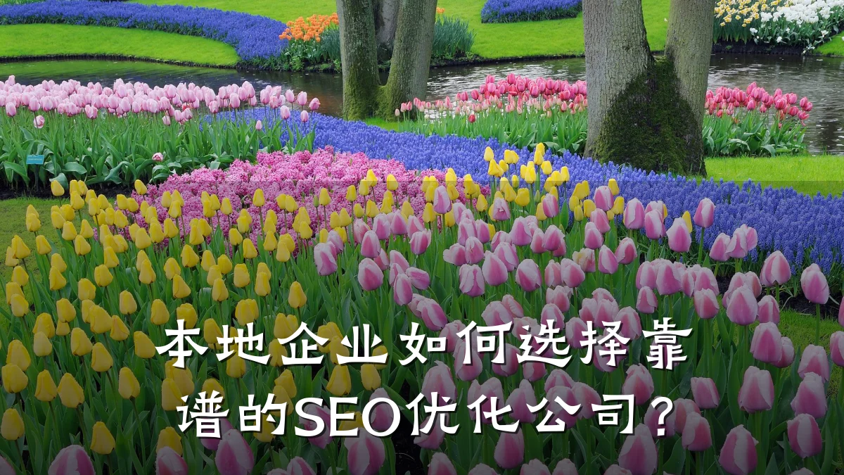本地企业如何选择靠谱的SEO优化公司?