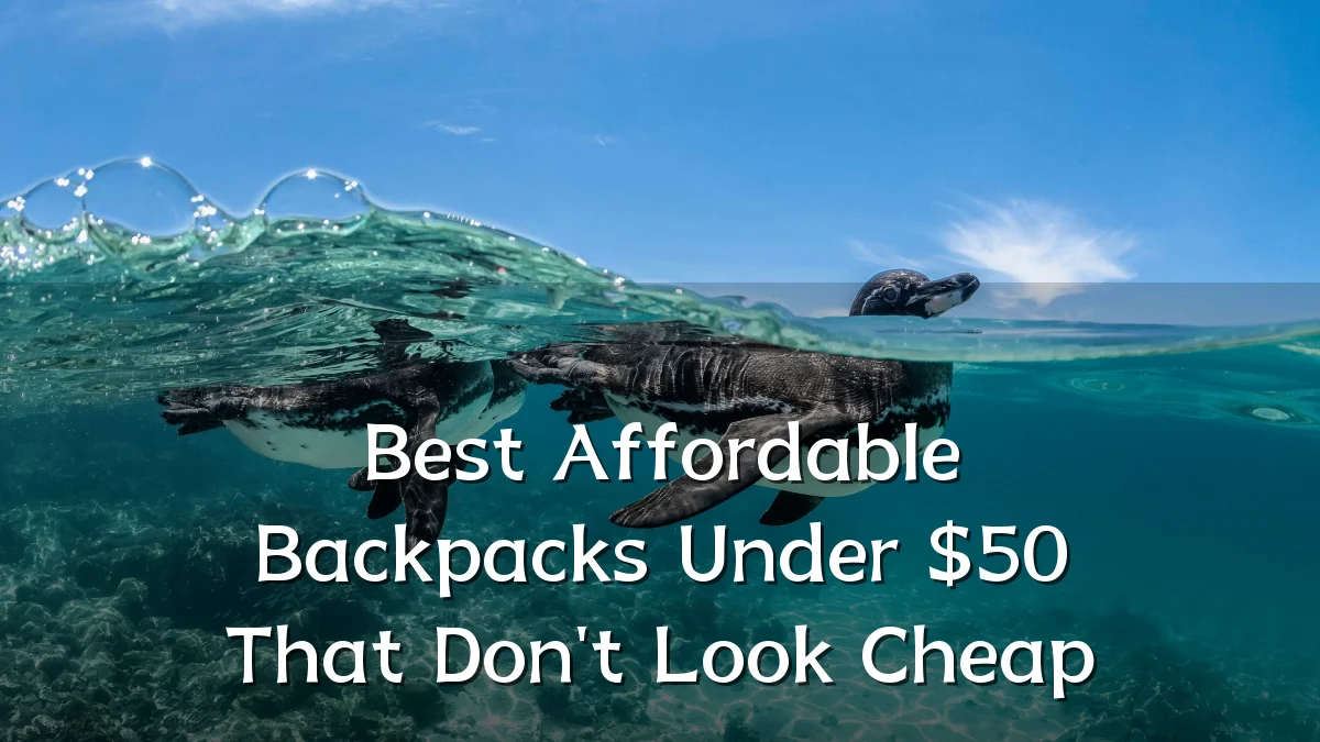 Best Affordable Backpacks Under $50 That Don't Look Cheap