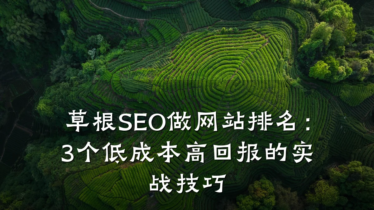 草根SEO做网站排名:3个低成本高回报的实战技巧