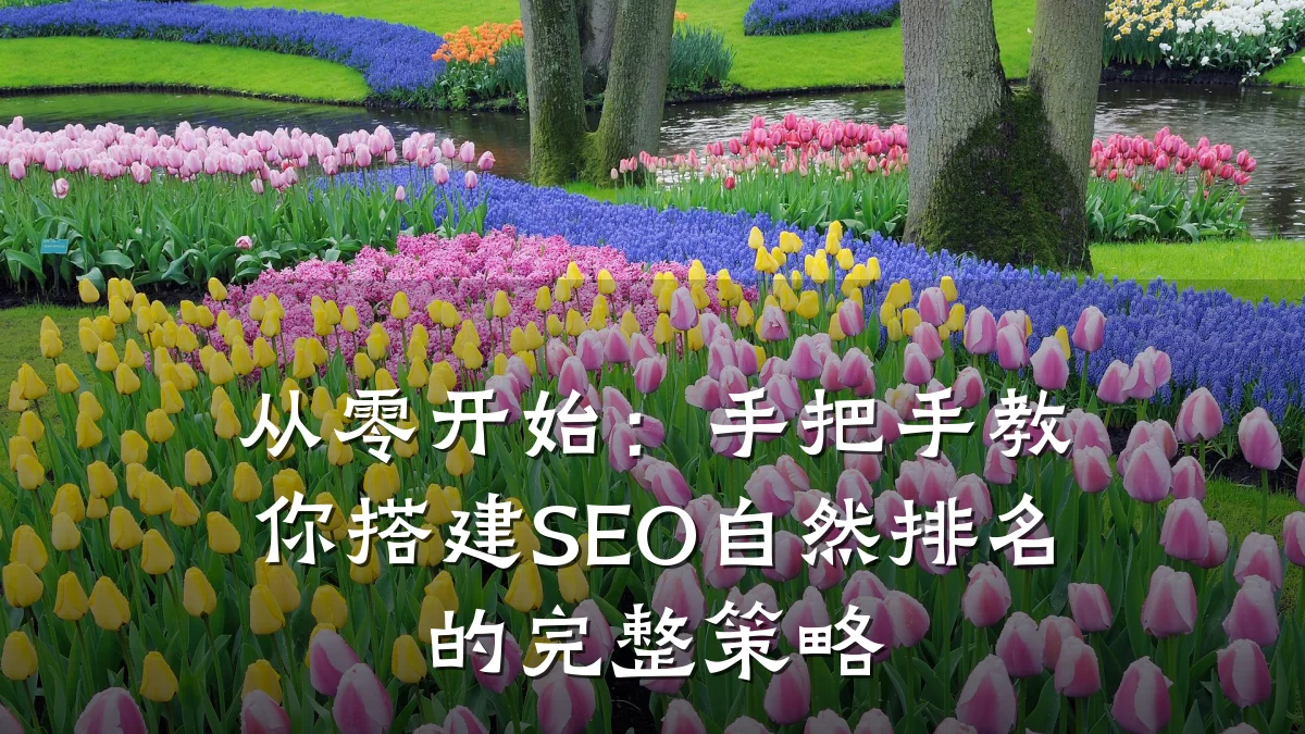 从零开始:手把手教你搭建SEO自然排名的完整策略