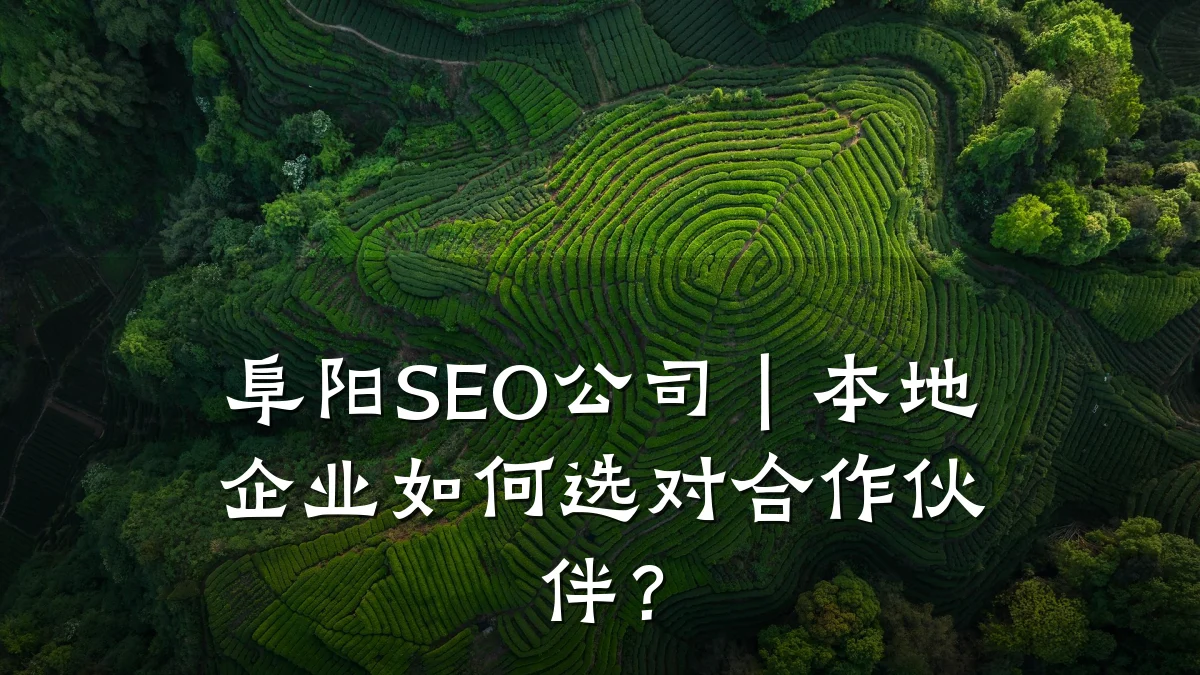 阜阳SEO公司|本地企业如何选对合作伙伴?