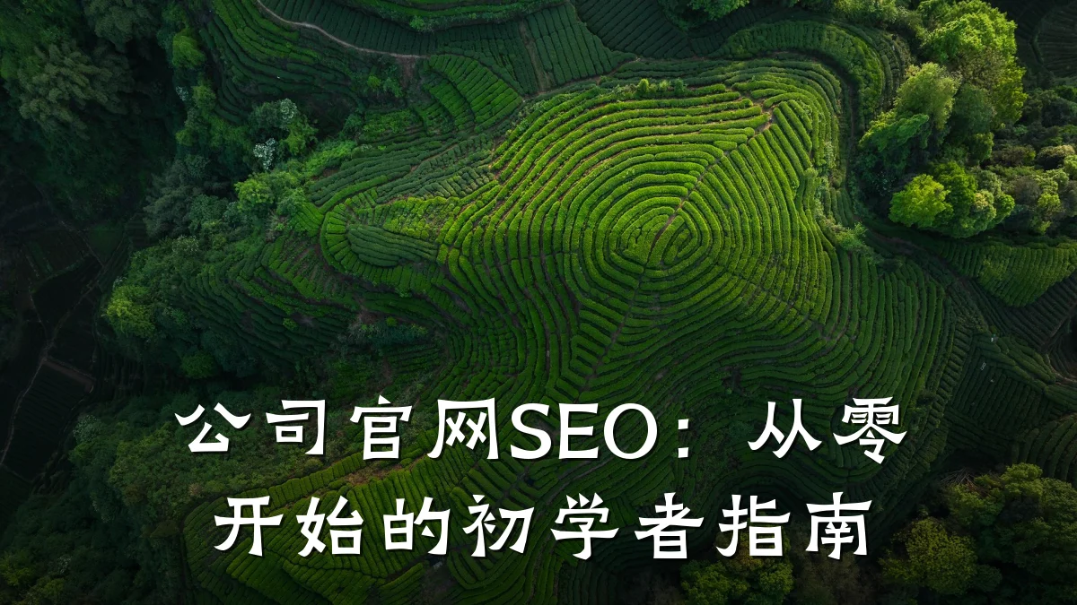 公司官网SEO:从零开始的初学者指南